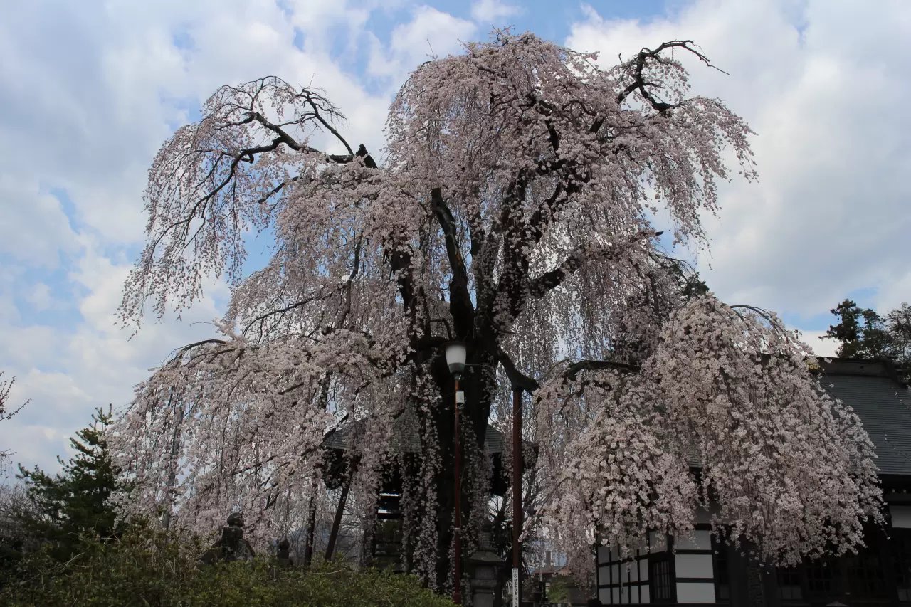 🏯 영원한 샘 사원(에이센지)